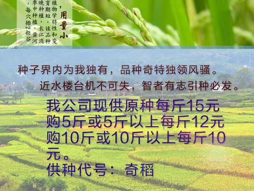 中国大米产业网 大米供应 超级水稻王奇稻2000 产品简介 成交记录
